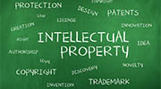 Fiji intellectual property rights investigator